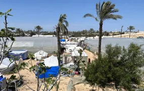 A wide shot showing makeshift settlements that have been created in the land of Nabeel al-Astal, a farmer from central al-Mawasi, who has transformed his land of around 100 acres into a refuge for thousands.